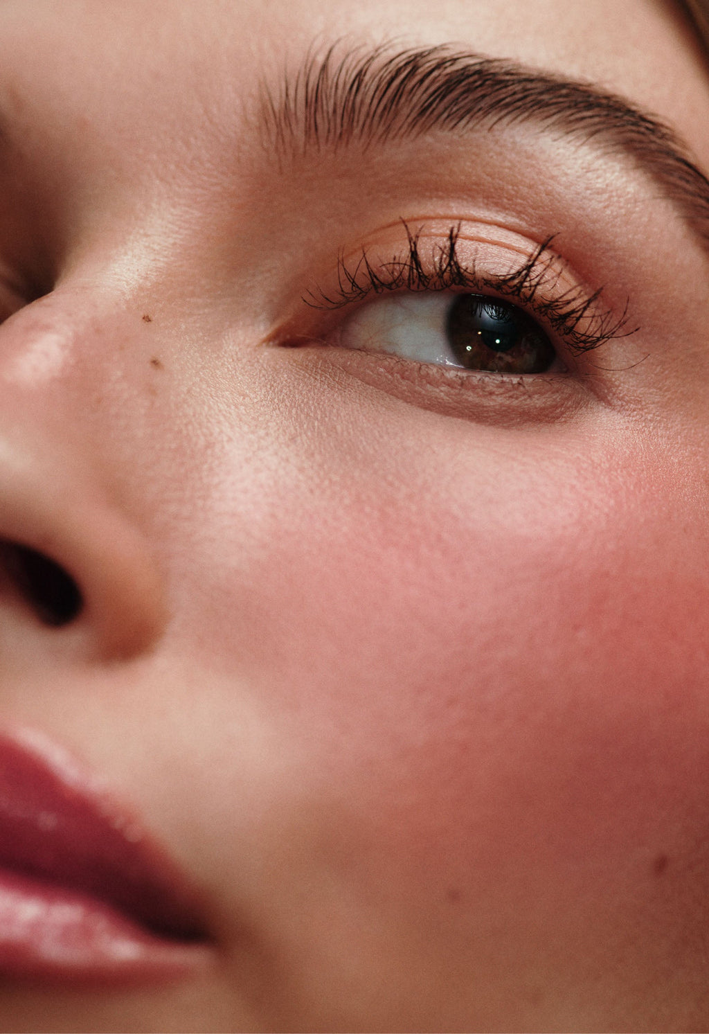pocket blush freckle - Lip Care Made Elegant