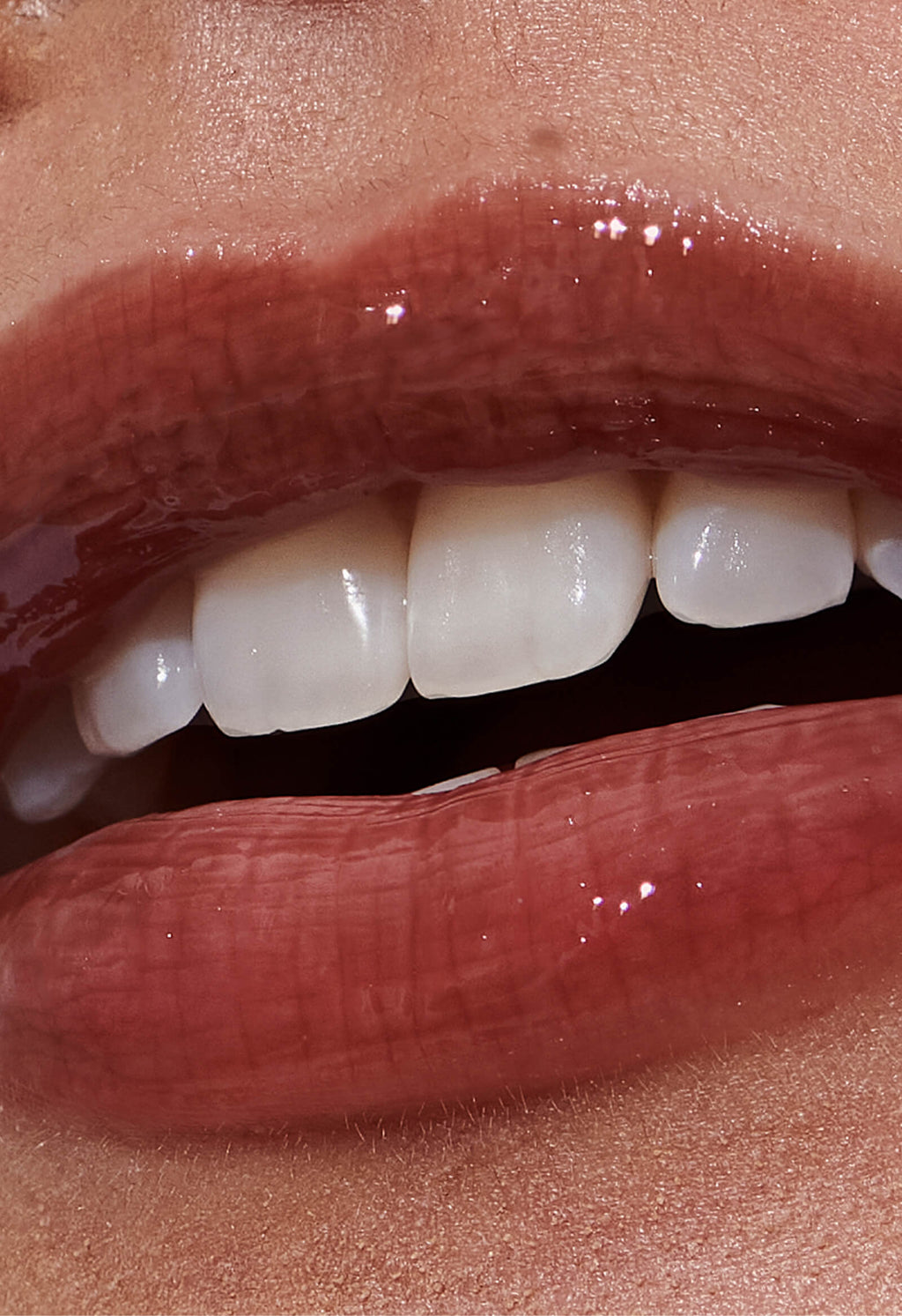 the duos toasted teddy + espresso - Beauty Made Modern