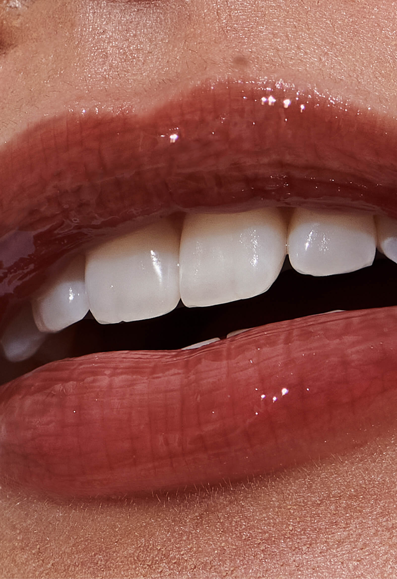 the duos toasted teddy + espresso - Beauty Made Modern